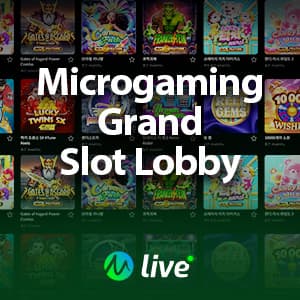 MicroGamingSlot